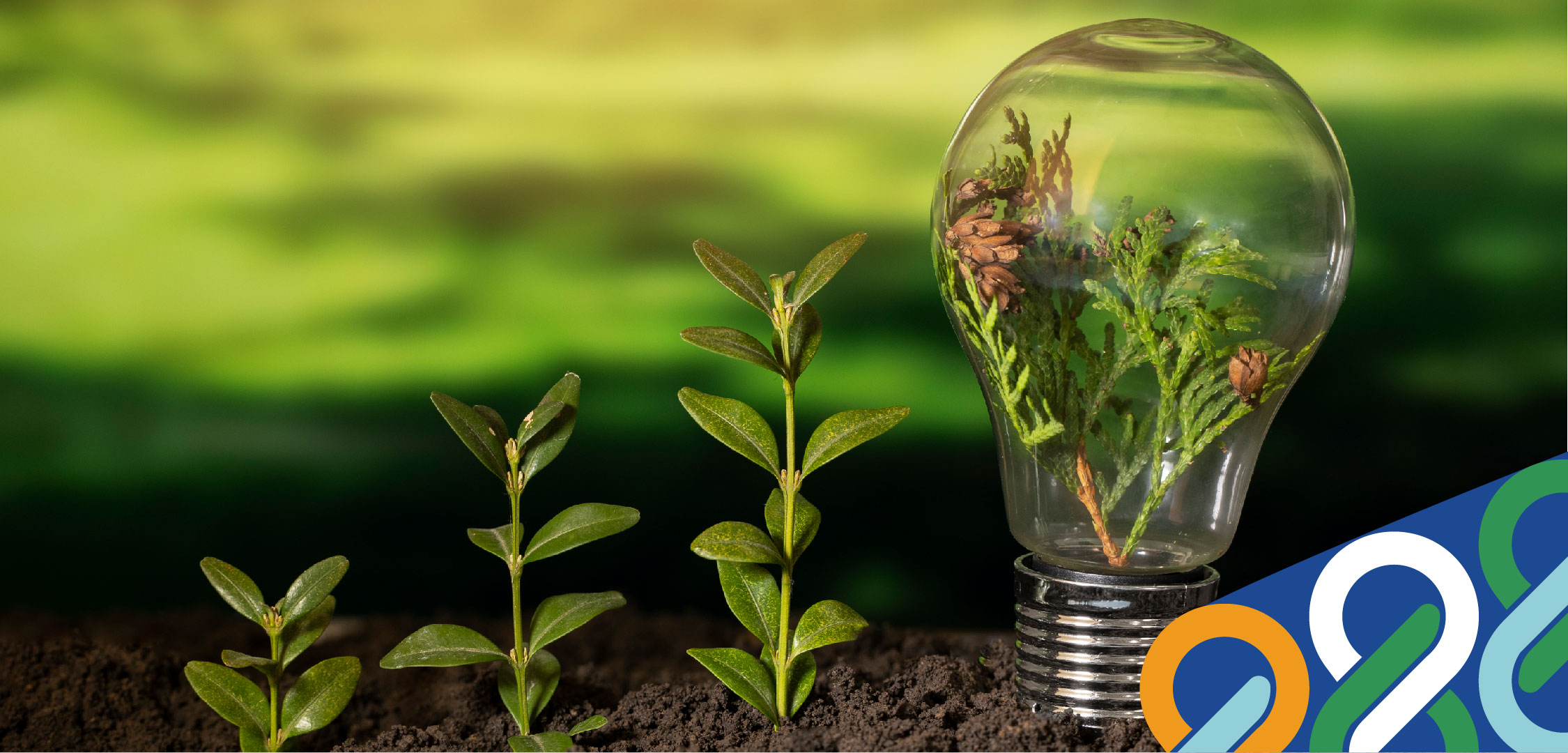 New Opportunities in the Accounting Profession:…