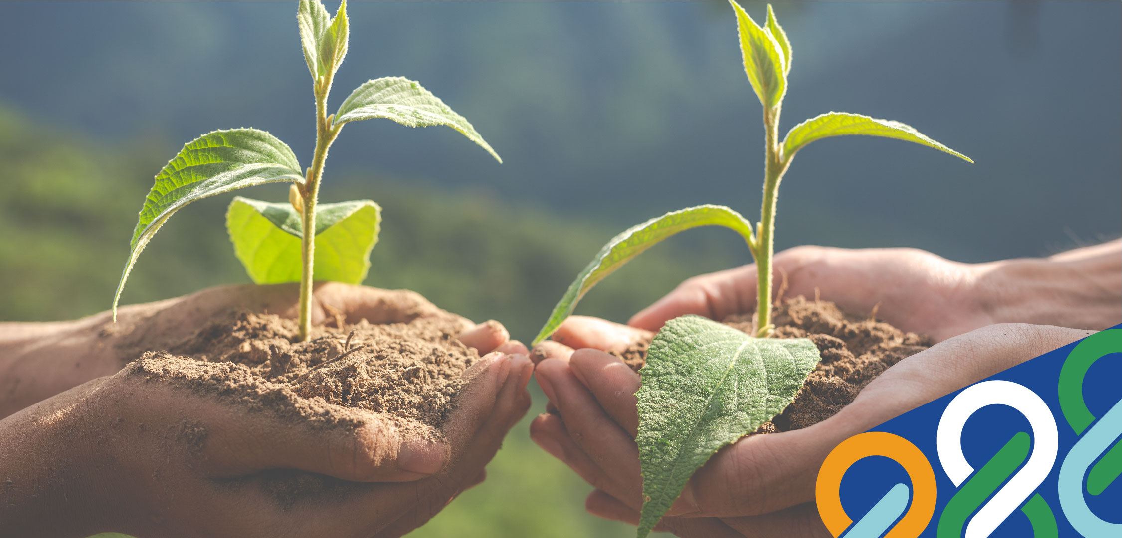 Circular Economy: A Key Pillar of Sustainable Economy